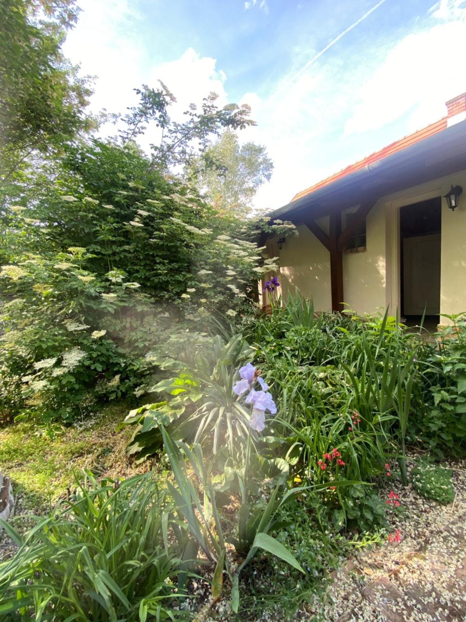 Racz Birtok Lajosmizse Apartment Exterior photo