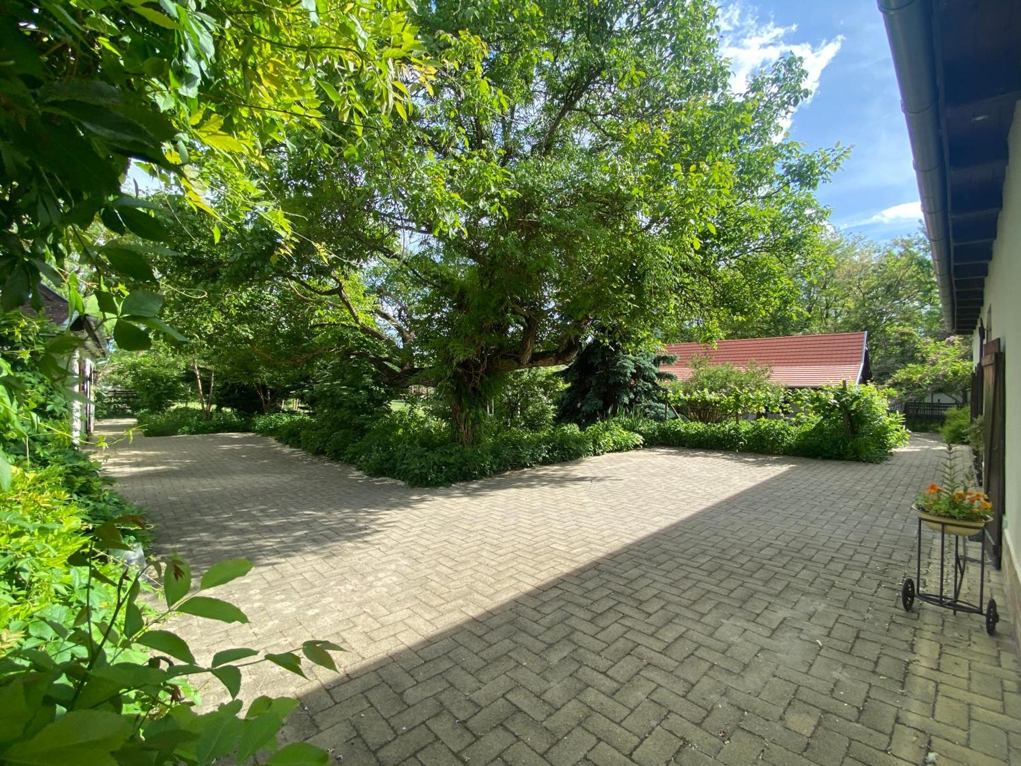 Racz Birtok Lajosmizse Apartment Exterior photo