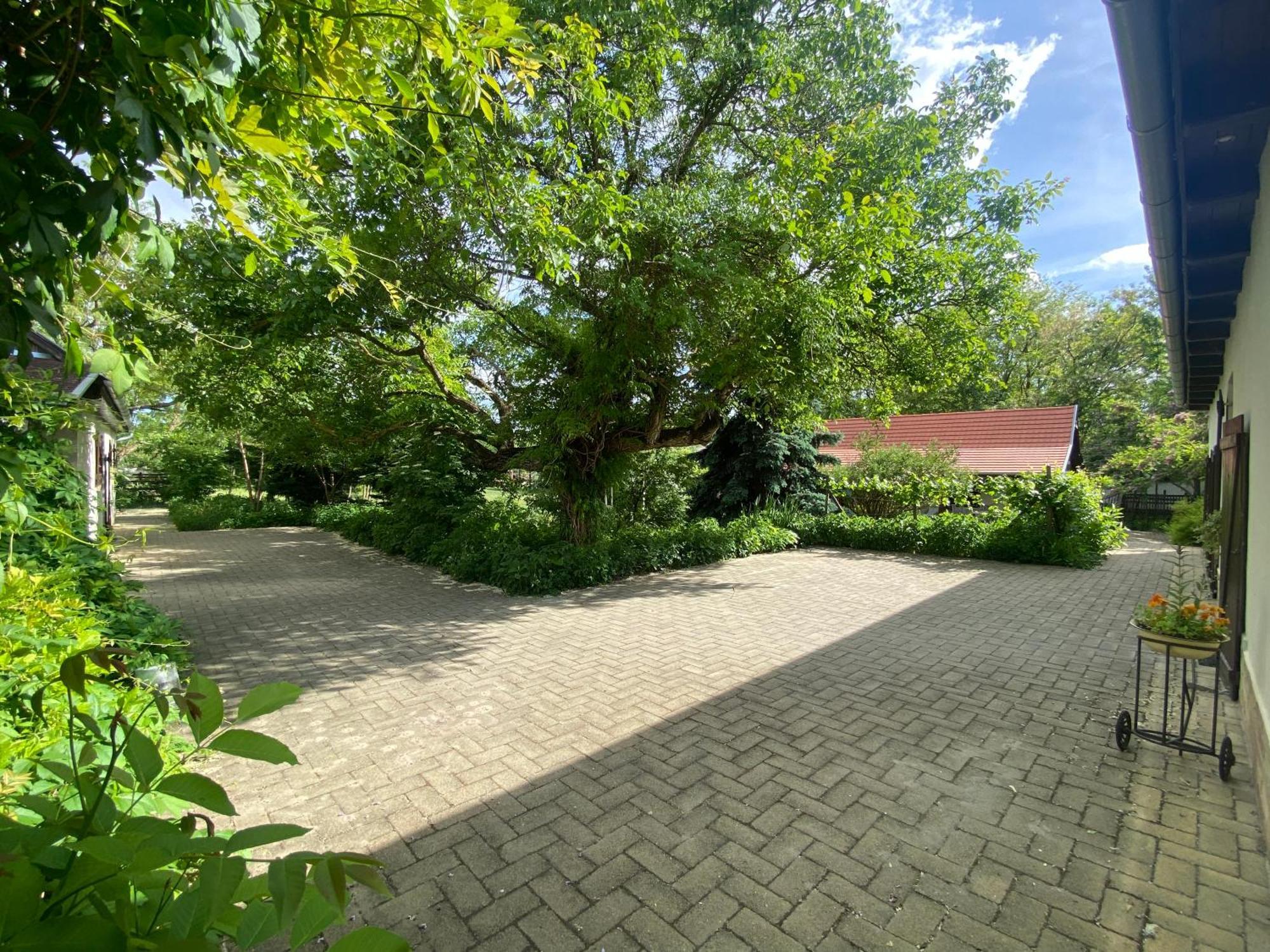 Racz Birtok Lajosmizse Apartment Exterior photo