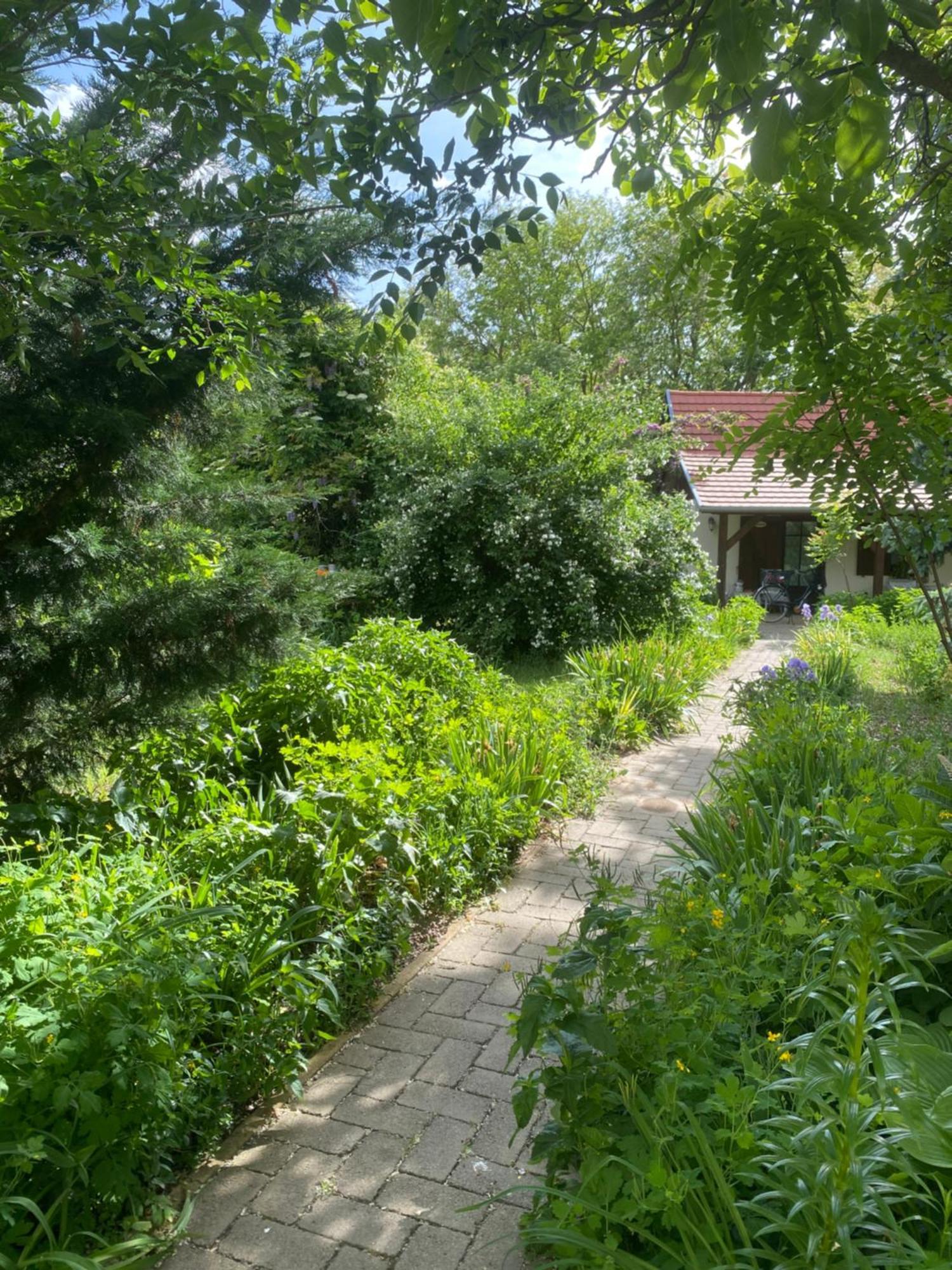 Racz Birtok Lajosmizse Apartment Exterior photo