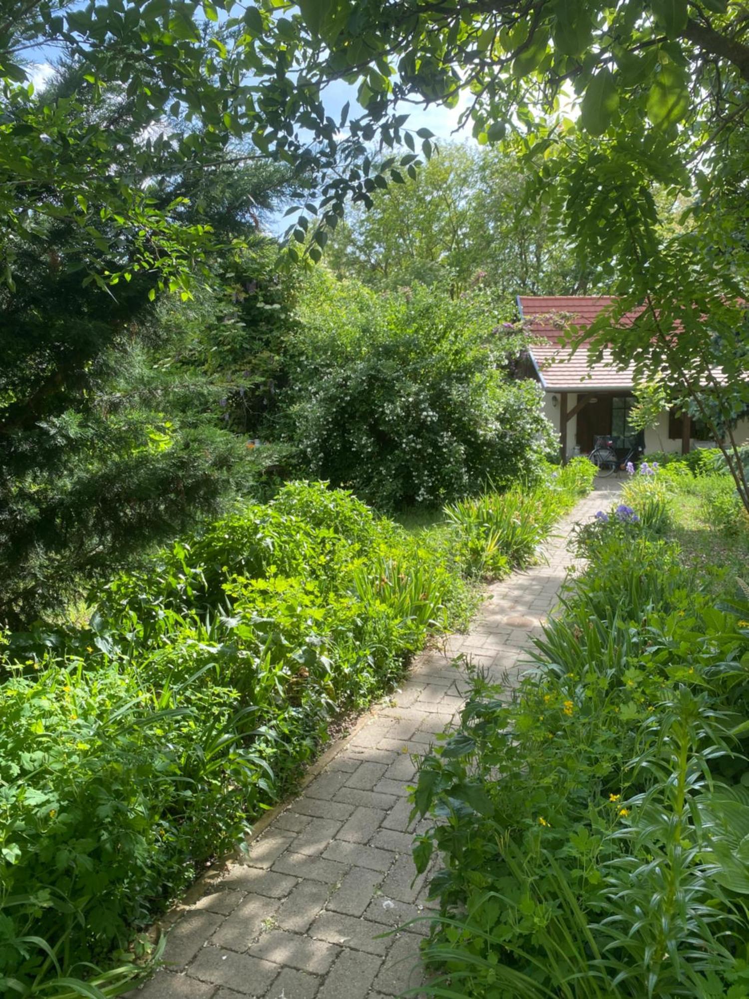 Racz Birtok Lajosmizse Apartment Exterior photo
